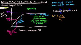 Enzymes Part 2 of 5  Enzyme Kinetics and The Michaelis Menten Model [upl. by Edelstein]