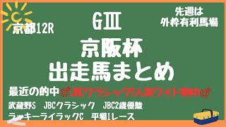 🔥京阪杯出走馬チェック🔥🔍大混戦を抜け出すカギは脚質と馬場傾向‼️人気馬から穴馬まで総ざらい [upl. by Belding449]