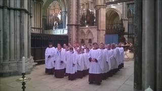 Choral Evensong  Lincoln Cathedral  15 August 2016 [upl. by Isoj]