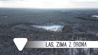 Iława 2024  Dron 4K Las zima z drona [upl. by Lytton]