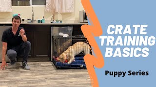 Learn how to effectively crate train your puppy [upl. by Ines558]