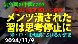 メンツ潰され習は思考停止に 習近平 金正恩 [upl. by Riorsson]