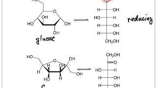 Reducing and Nonreducing Sugars [upl. by Mij]