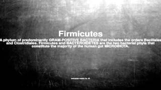 Medical vocabulary What does Firmicutes mean [upl. by Giffer724]