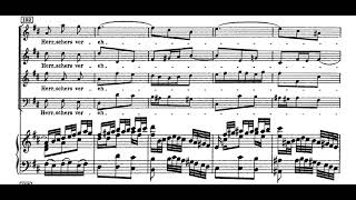 Jauchzet frohlocket Weihnachtsoratorium  JS Bach Score Animation [upl. by Akkin]