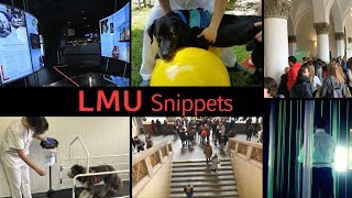 LMU Snippets [upl. by Rayham32]