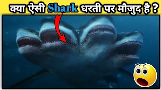 🦈Multi Headed Shark  ऐ Shark बेहद ही खतरनाक हे  Interesting Fact about Megalodon factsshorts [upl. by Kalasky]