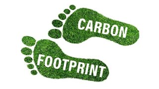 Introduction to Carbon Footprint Carbon Neutrality amp Netzero Emissions  Sustainability  Hindi [upl. by Yanat203]