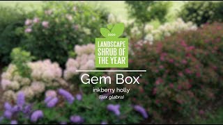 Landscape Shrub of the Year 2020 [upl. by Enaelem]