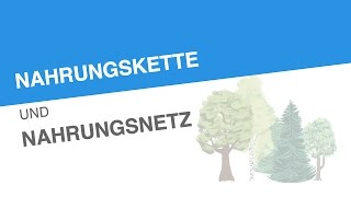 NAHRUNGSKETTE UND NAHRUNGSNETZ  Biologie  Ökologie [upl. by Onej651]