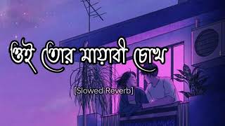 Oi Tor Mayabi Chok Slowed Reverb Arijit Singh ll Prem Korechi Besh Korechi ll JeetKoel ll [upl. by Aisiram]