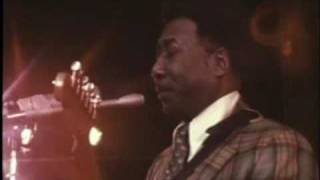 Mannish Boy  Muddy Waters Live 1971 [upl. by Kazmirci]