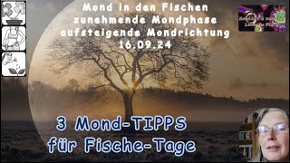 3 MondTIPPs für Fische Tage [upl. by Dowd]