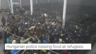 Hungarian police tossing food and water at refugees in Roszke camp [upl. by Nelehyram]