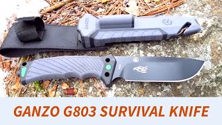 Ganzo G803 Survival Knife  Solid Budget Option [upl. by Dorran]