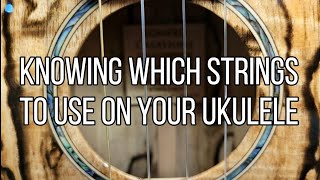 Which Strings Go With Which Ukuleles [upl. by Kinney310]