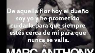 Marc AnthonyFlor PalidaDJ JANCHO 2014 [upl. by Nosnar]