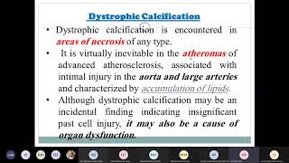 pathologic calcification [upl. by Medorra]