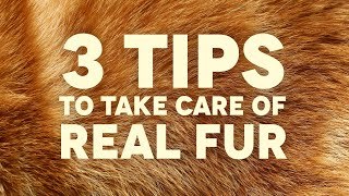 3 TIPS TO TAKE CARE OF REAL FUR [upl. by Nevets605]