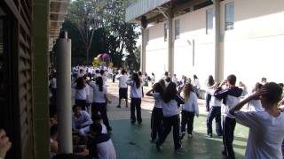 FlashMob  Macarena CSMBH [upl. by Ahsinor964]