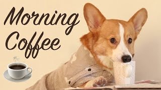 MORNING COFFEE  Topi the Corgi [upl. by Pooh]