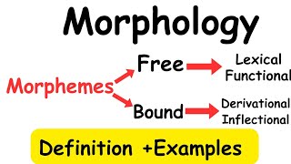 MorphologyMorphemeTypes of morphemelinguistics [upl. by Conlen864]