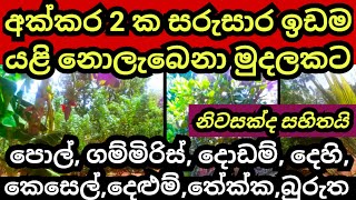 අක්කර 2 ක සුපිරි ඉඩම අඩු මුදලකට  Land for sale in sri lanka  Pol idam  Agriculture  Aduwata idam [upl. by Joly77]