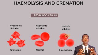 FORM 1 LESSON 75 Haemolysis and crenation TOPICCELL PHYSIOLOGY mp4 [upl. by Ecirtnahs]