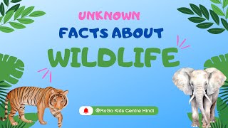 quotमजेदार जानवरों की जानकारी  Animal Fun Facts for Kids in Hindi  Learn with Fun  Amazing Animalquot [upl. by Nyraa426]