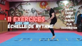 11 EXERCICES AVEC ECHELLE DE RYTHME AGILITÉ COORDINATION PROPRIO PLIO RENFO CARDIO [upl. by Rimidalv38]