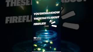 Why Do Fireflies Glow The Science Behind Their Lighttrendingfacts nature shorts firefly ASMR [upl. by Philemol296]