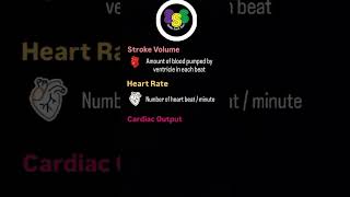 Stroke volume Heart rate Cardiac output analyst keralapsc shorts [upl. by Renelle]