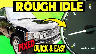 Easy DIY Fuel Injector Cleaning  Solve Rough Idle On Your Car [upl. by Enegue]