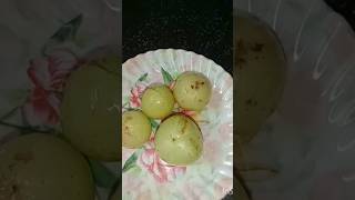 Periya nellikai juice 🥤 Hey minnale From quot Amaranquot shortvideos juice [upl. by Gatias969]