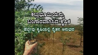 Success story in Hebbevumeliadubiaಹೆಬ್ಬೇವು ಕೃಷಿಯಲ್ಲಿ ರೈತನ ಅನುಭವ [upl. by Wat87]