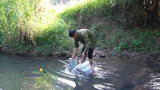 Go to the stream to catch eels and make a simple dinner in the forest [upl. by Jarid]