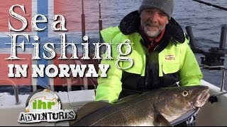 ihr Adventures  Northern lights Cod and halibut fishing in Norway [upl. by Herbert]