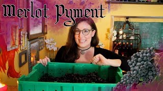 Making a Merlot Pyment Grape Mead [upl. by Agbogla220]