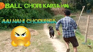 dog sound  dog  dog barking sound  dog barking  dog fight  dog video  dog voice  dogri song [upl. by Aleibarg]