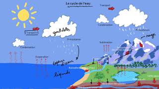 Le cycle de leau [upl. by Skolnik]