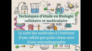 Fiches techniques Pulse chase et autoradiographie [upl. by Hummel134]