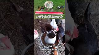 Poultry Birds Feeders Adjustment from Day Old to Adults  Avoid Feed Wastage  Dr ARSHAD Vet [upl. by Lahcear]