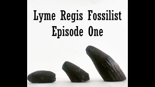 Fossil Hunting at Lyme Regis 2021 Episode 1 [upl. by Etnor]