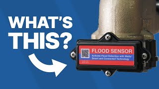 Flood Detection on Watts Connected Backflow [upl. by Gerdi]