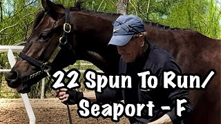 22 Spun To Run Seaport  Cash AsmussenEquinecom [upl. by Ojahtnamas]