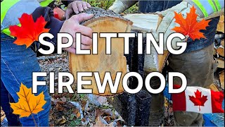 BIG FIREWOOD LITTLE SPLITTER [upl. by Ahsiena]