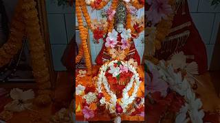 subscribemychannel indianfestival छठपूजागीत2023 trending song ytshortsindia ytshorts [upl. by Annagroeg36]