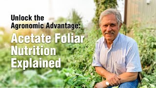 Unlock the Agronomic Advantage Acetate Foliar Nutrition Explained [upl. by Towers660]