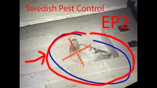 SAF Swedish pestcontrol 2  South SwedenNovember 2024 [upl. by Etnoved734]