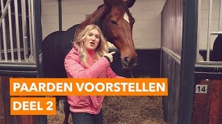 Paarden voorstellen deel 2 l PaardenpraatTV [upl. by Yruam]